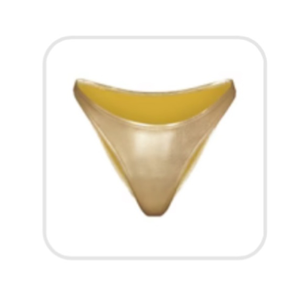 Skims  NWT Med Gold Metallic Swim Dipped Mid Waist Bottoms
